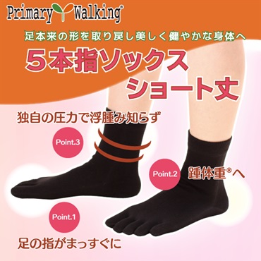 プライマリーショートソックスS